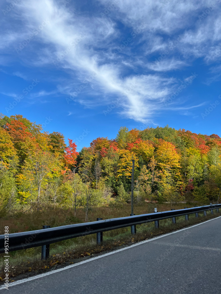 road in autumn road in autumn