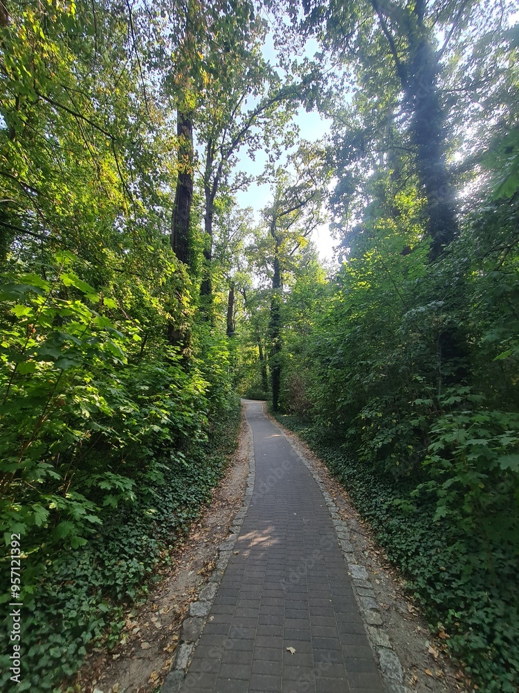 Naturpfad in Eichwalde, Brandenburg Naturpfad in Eichwalde, Brandenburg