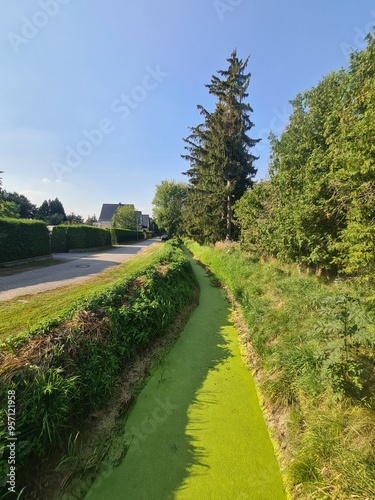 Naturgebiet mit Bach in Schulzendorf, Brandenburg photo