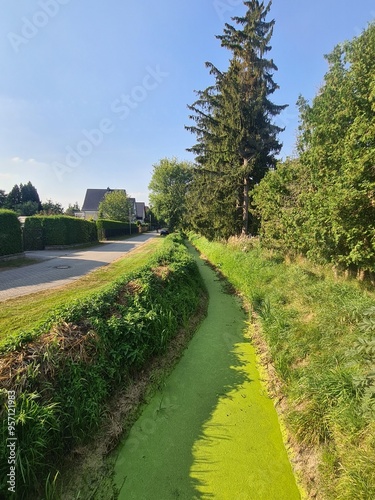 Naturgebiet mit Bach in Schulzendorf, Brandenburg photo