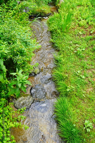 新潟県湯沢町から眺めた小川の渓流。