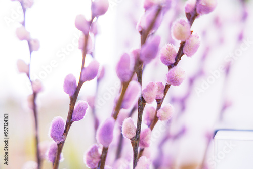 Soft purple willow branches in bloom bring a touch of spring to a bright, sunny room. Easter concept