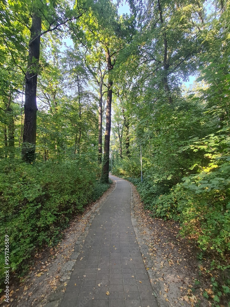 ein Naturpfad in Eichwalde, Brandenburg ein Naturpfad in Eichwalde, Brandenburg