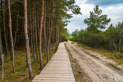 Trail to observation deck on Olenya Buda dunes with views of Swan Lake. Curonian Spit National Park. Russia