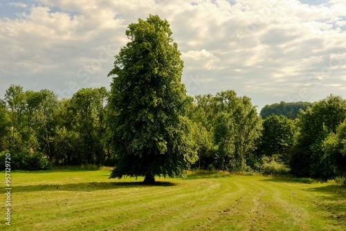 Beautiful picturesque lush green English countryside landscape i
