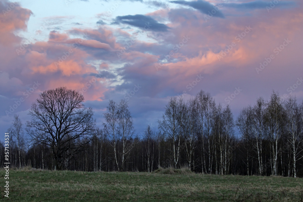 Dramatic sky over the fields. Agricultural landscape in eastern Lithuania. Dramatic sky over the fields. Agricultural landscape in eastern Lithuania.