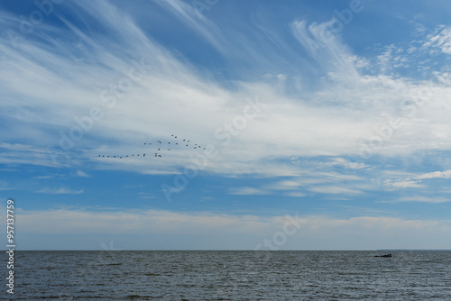 Obraz na płótnie Blue sky with white clouds with the Baltic sea w salonie