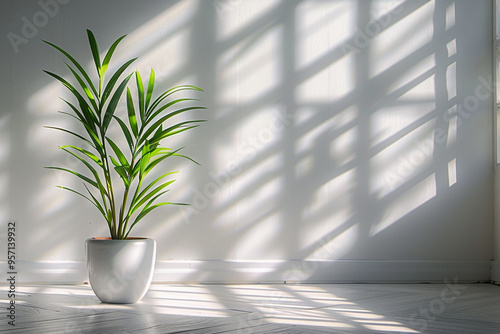 high-quality 8k stock photo features a white background with simulated studio lighting, providing a versatile backdrop for placing objects or text 