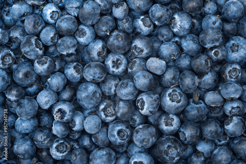 Fresh blueberries as a background, top view. Texture of blueberry berries close-up