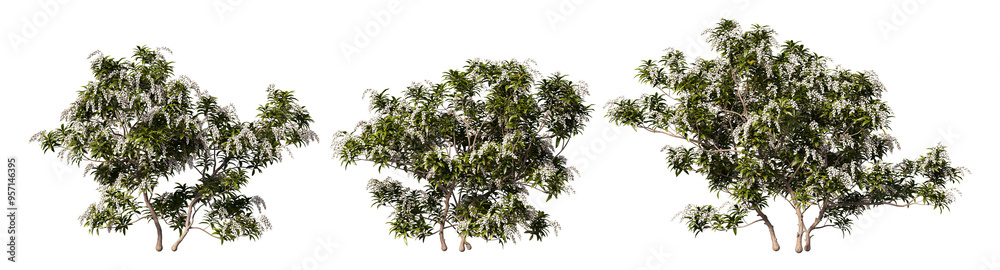 The tree has colorful flowers on a transparent background. The tree has colorful flowers on a transparent background.
