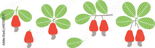 Cashew nut logo. Isolated cashew nut on white background