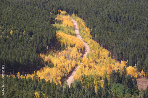 Fall colors in the Golden Gate Canyon State Park area