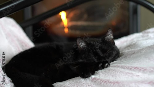 Black cat peacefully sleeping on a soft blanket with a warm fireplace in the background.