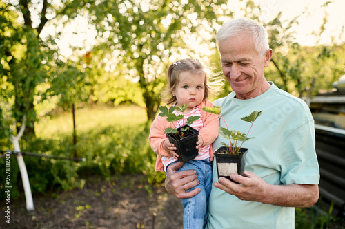 grandfather with his little granddaughter seeding plants photo