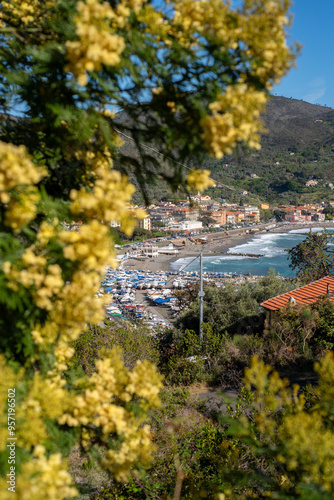 Levanto, Cinque Terre view from the mimosa tree photo