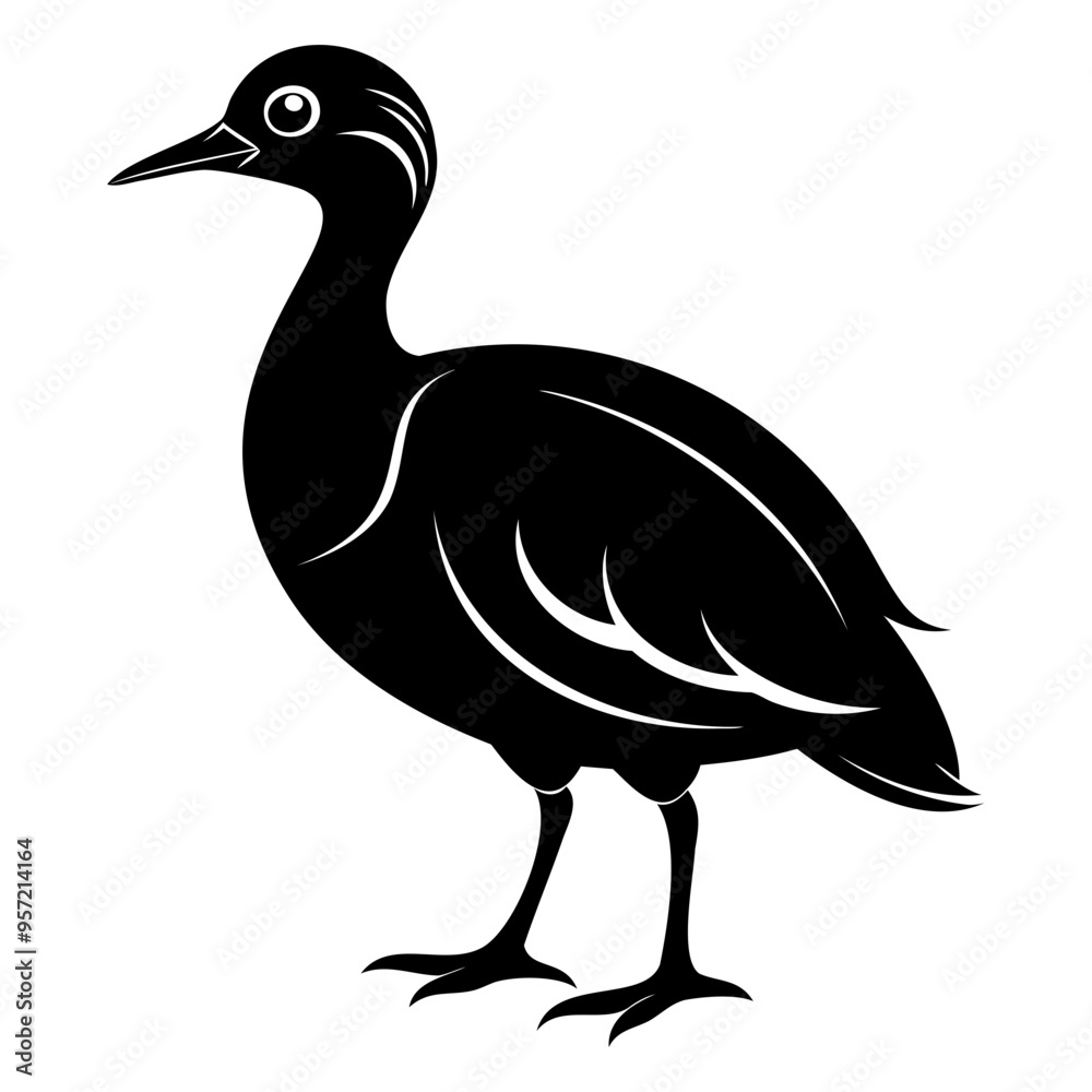 Nene bird black silhouette vector illustration isolated on a white background Nene bird black silhouette vector illustration isolated on a white background