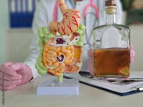 Narcologist and model of digestive system with bottle of alcohol photo