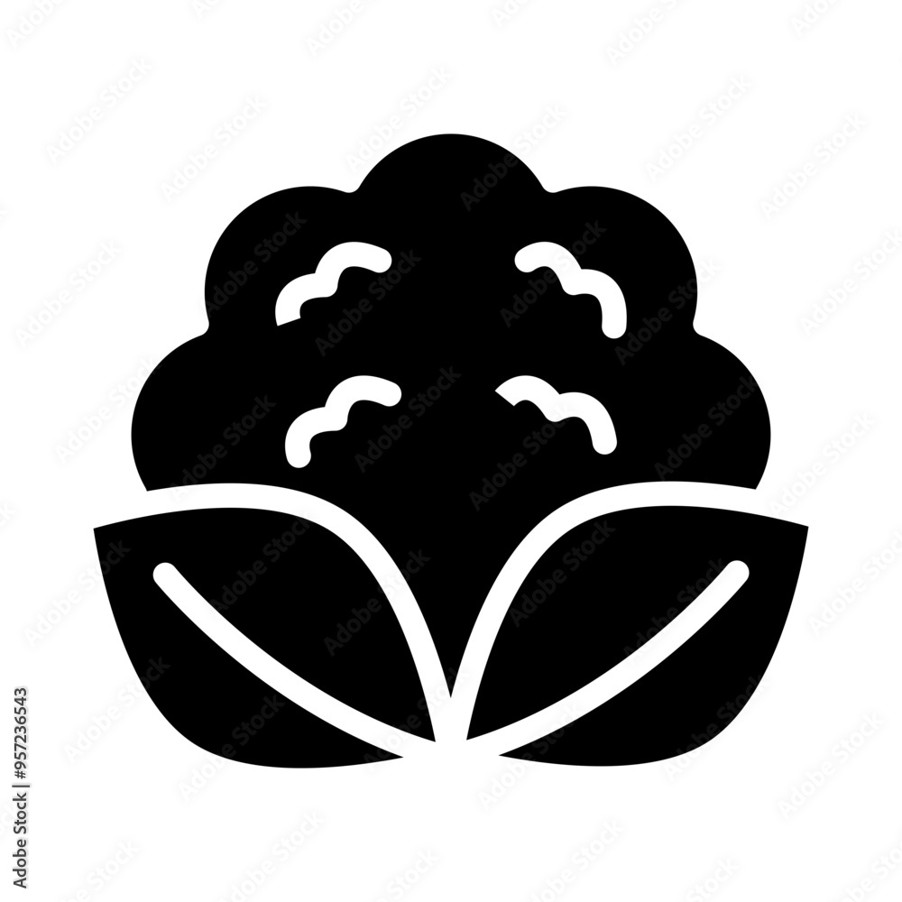 Cauliflower Vector Glyph Icon Design Cauliflower Vector Glyph Icon Design