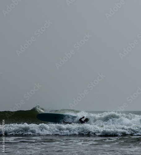 Dynamic silhouette of a surfer catching a wave and then falling into the wave during golden hour.