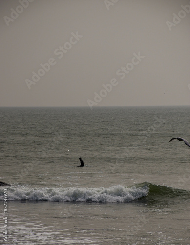 Surfer sitting calmly on their board, poised and relaxed, as a bird gracefully flies across the frame.