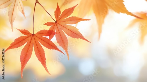 Vibrant Autumn Maple Leaves Against a Soft Golden Background Capturing the Essence of Fall