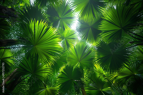 In vibrant and positive light of a sunny summer day, panoramic view of lush jungle reveals a mesmerizing pattern of green palm leaves, creating a stunning abstract art piece that exudes beauty and vit photo