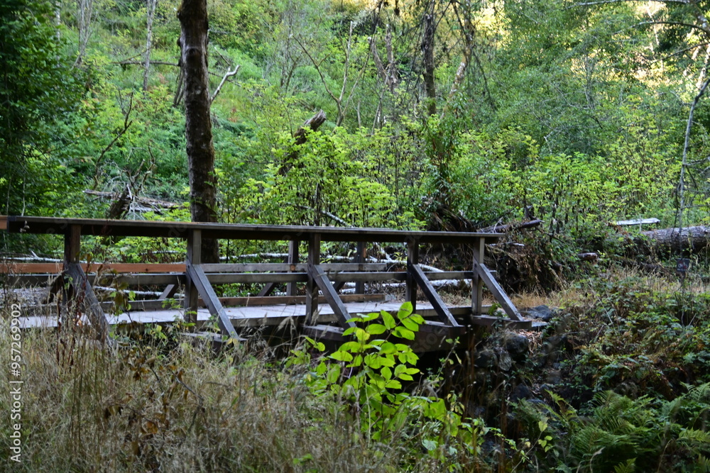 wooden fence in the woods wooden fence in the woods