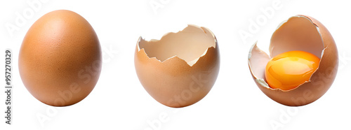 Full, cracked open egg with yolk, egg shell. Cut out isolated PNG photo