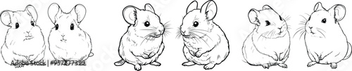 Chinchilla isolated  hand drawn sketch Style engraving vector illustration set