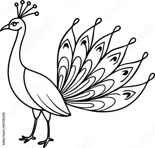 Elegant Black and White Line Art Illustration of a Peacock with Detailed Feather Design