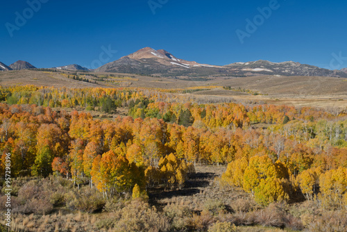 Fall colors at Conway Summit