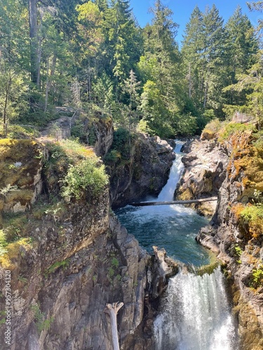 waterfall in the forest