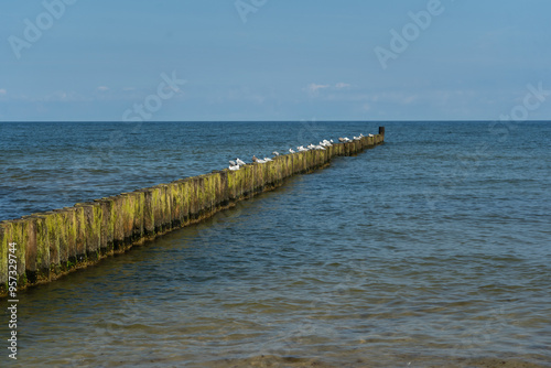 Waterbreak and seagull photo