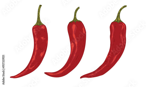 Spicy red vegetable, Set of red chili pepper.  Hot chili t shirt design for t shirt print, poster, sticker, background and other uses. Always fresh spicy graphic print design. Red spicy chili artwork.