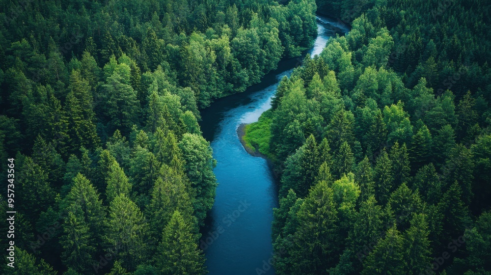 Fototapeta premium Aerial view of a winding river through a forest