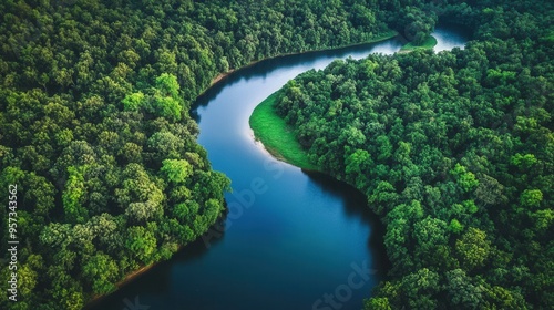 Aerial view of a winding river through a forest