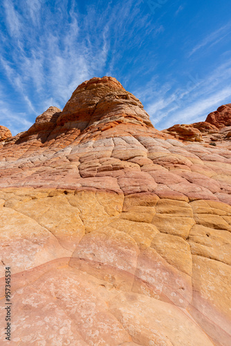 Paria Canyon-Vermilion Cliffs Wilderness photo