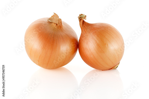 Onions isolated on white background. Close-up