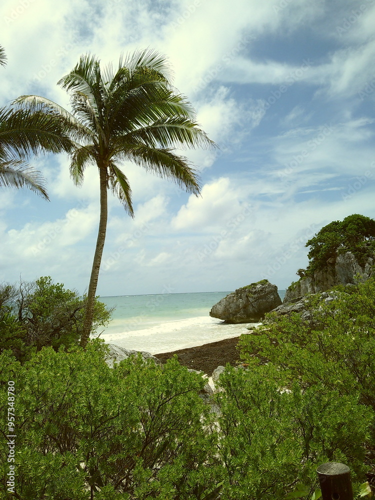 Fototapeta premium Mexico, tulum, ruins, lush, tropical, cenote, water, lake