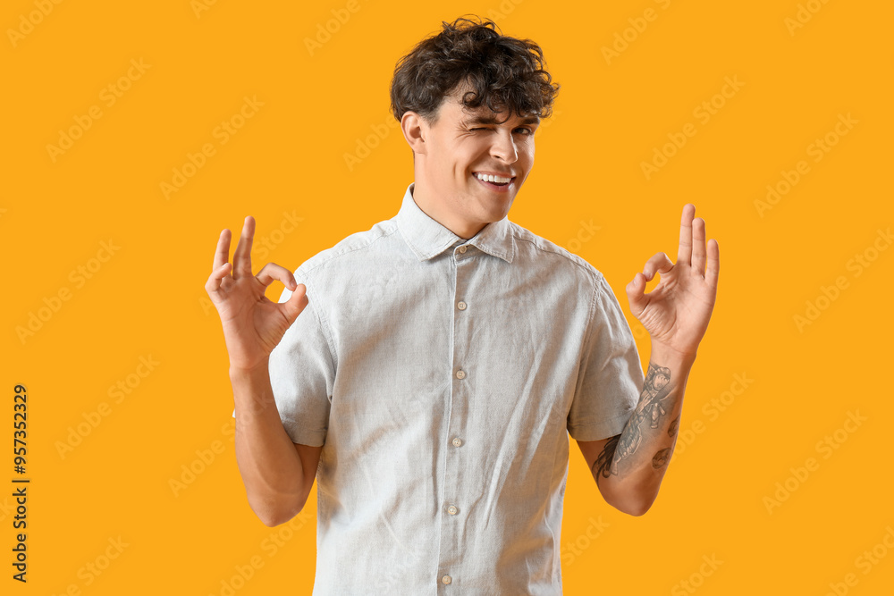 Portrait of winking young man showing OK gesture on orange background