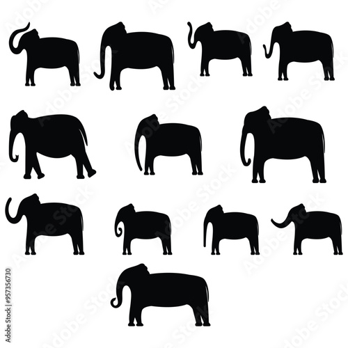 Photography elephants  vector  design
