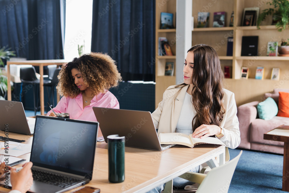 Portrait of two young women working in the office. Portrait of two young women working in the office.