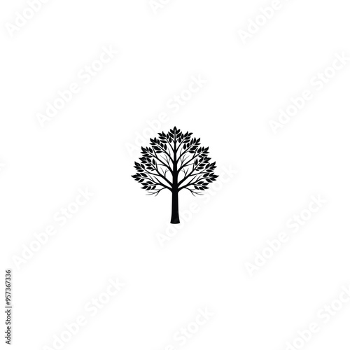 silhouette of a tree