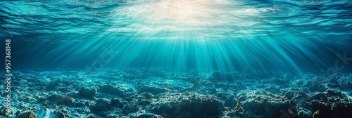 Crystal clear waters reveal a vibrant underwater landscape, illuminated by sunlight streaming through the surface, creating a serene and peaceful atmosphere