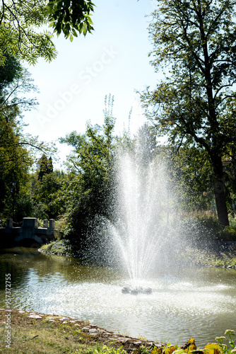 tranquility, basin, spout, open, landscape, vegetation, ambient, space, reflection, aquatic, body, liquid, leafy, area, bench, calm, wildlife, habitat, shadow, sunshine, scenic, ambiance, flora