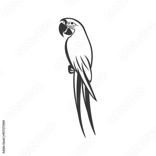 Black and White Line Drawing of a Parrot