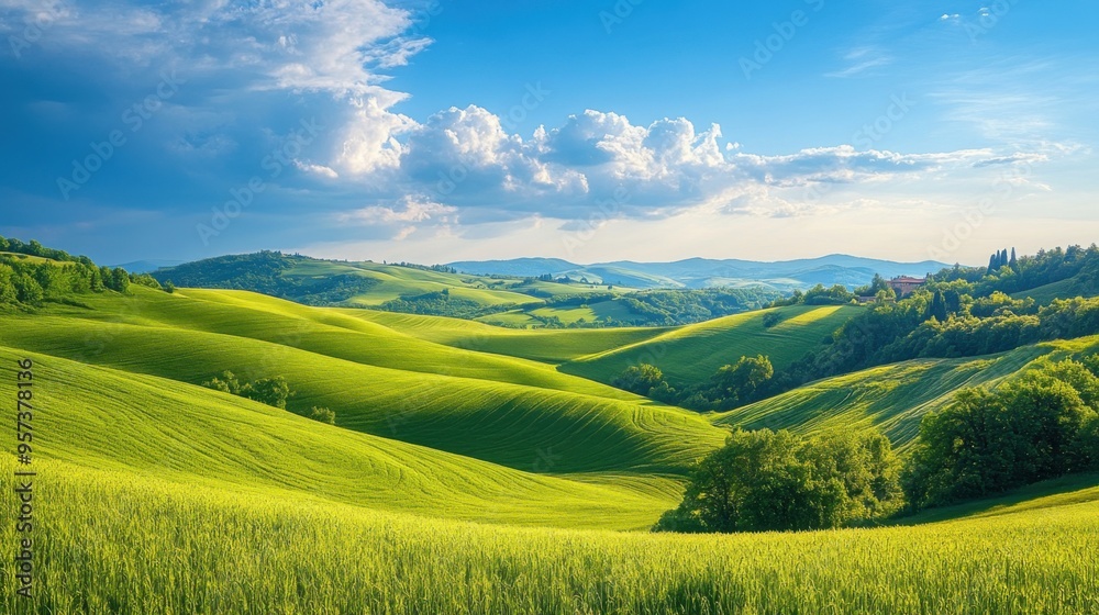 Fototapeta premium Serene countryside landscape with rolling hills