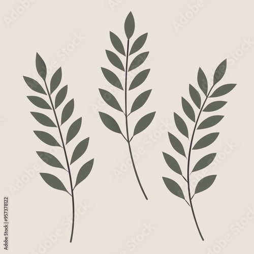Set of hand tree branches with leaves, vector silhouette, isolated white background