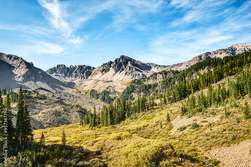 Beautiful Mountain range with a meadow and pine trees Beautiful Mountain range with a meadow and pine trees