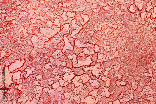 Crackle surface paint